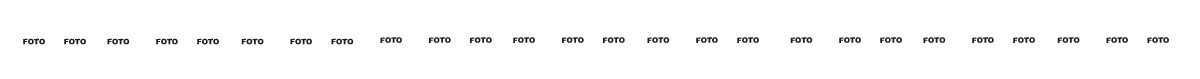 LINEA-FOTO (1).jpg